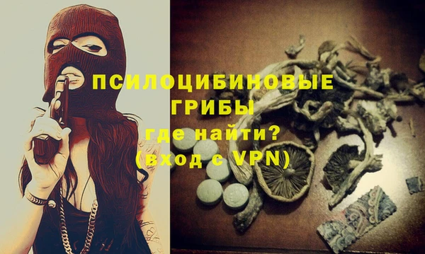 амф Михайловск