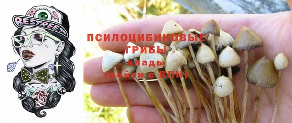 таблы Всеволожск